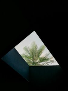 Comment choisir une agence web à Montpellier ?