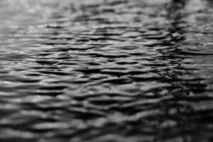 Audit SEO Montpellier