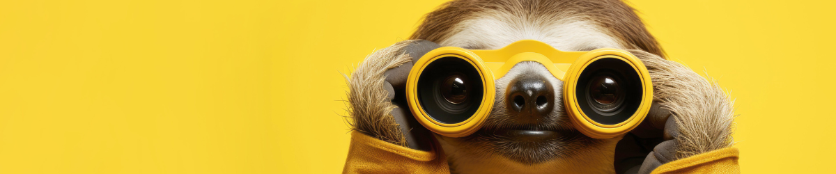 Consultant web Montpellier - DIGITAL IMPACKT