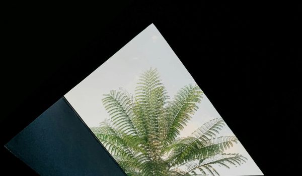 Comment choisir une agence web à Montpellier ?