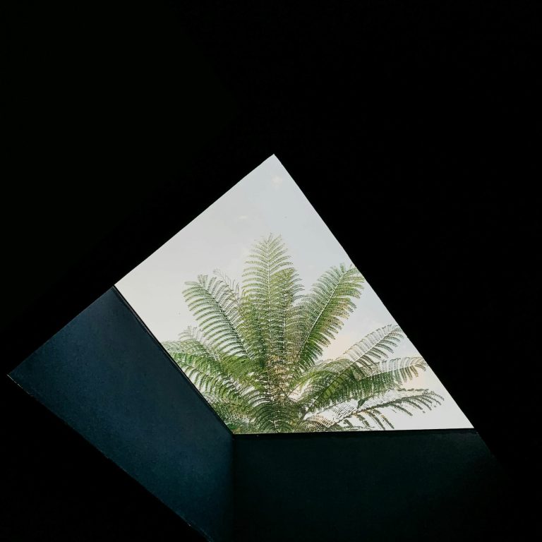 Comment choisir une agence web à Montpellier ?