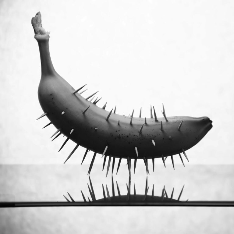 Quel CMS choisir pour son site web