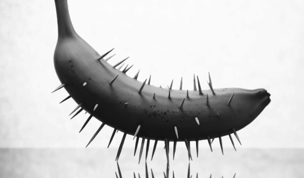 Quel CMS choisir pour son site web