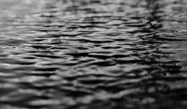 Audit SEO Montpellier