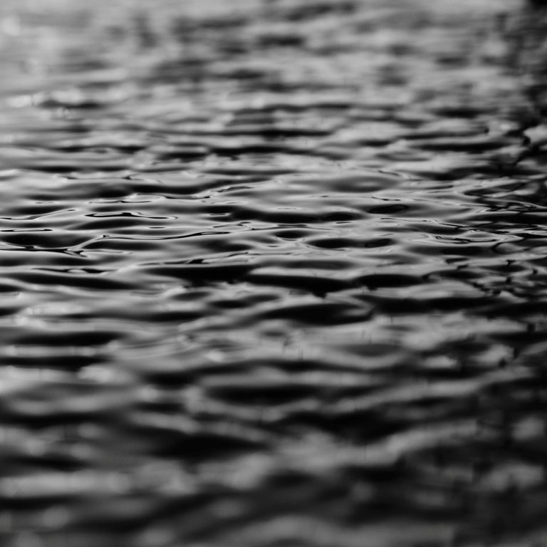 Audit SEO Montpellier